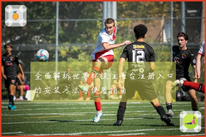 全面解析世界杯投注平台注册入口的安装方法与使用指南