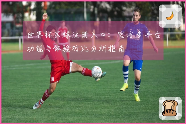 世界杯买球注册入口：官方多平台功能与体验对比分析指南