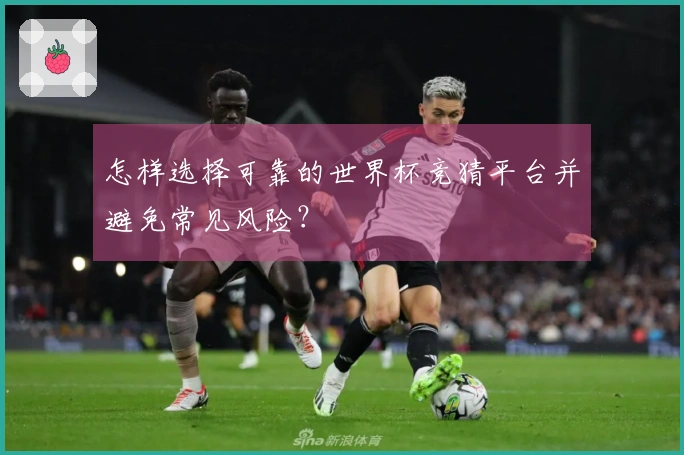 怎样选择可靠的世界杯竞猜平台并避免常见风险？