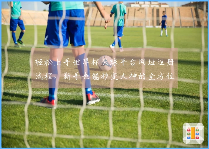 轻松上手世界杯买球平台网址注册流程，新手也能秒变大神的全方位指引