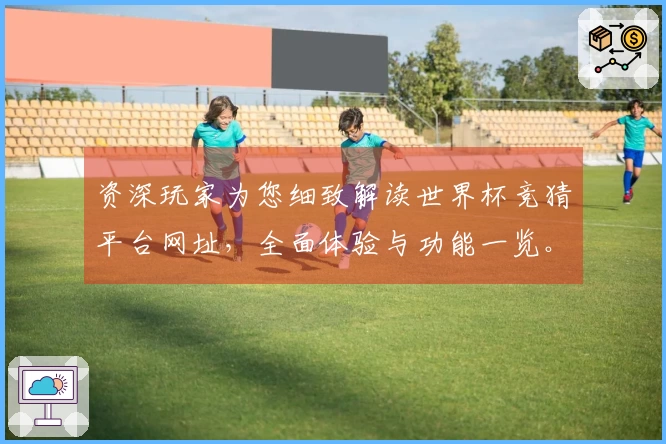 资深玩家为您细致解读世界杯竞猜平台网址，全面体验与功能一览。