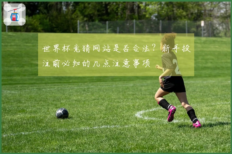 世界杯竞猜网站是否合法？新手投注前必知的几点注意事项