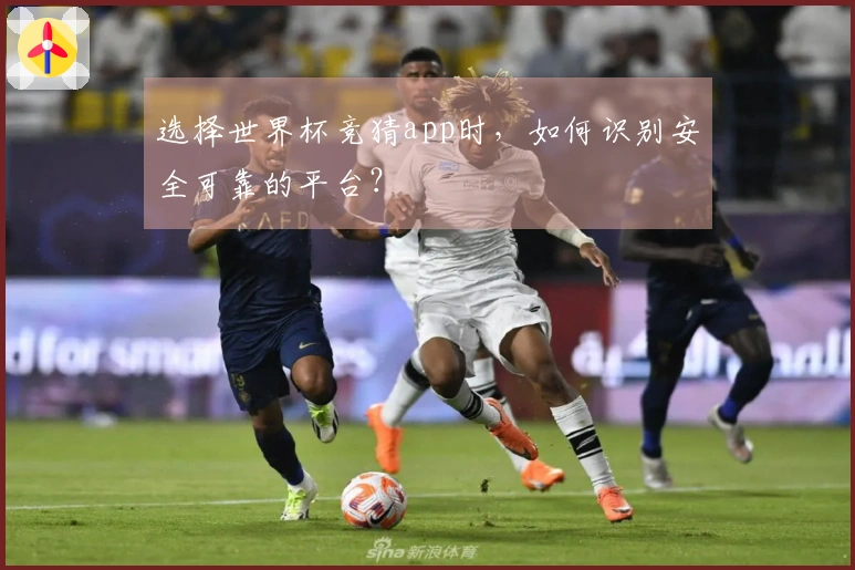 选择世界杯竞猜app时，如何识别安全可靠的平台？