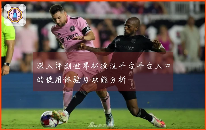 深入评测世界杯投注平台平台入口的使用体验与功能分析
