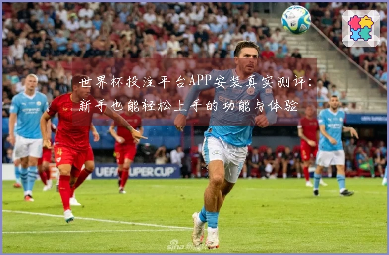 世界杯投注平台APP安装真实测评：新手也能轻松上手的功能与体验