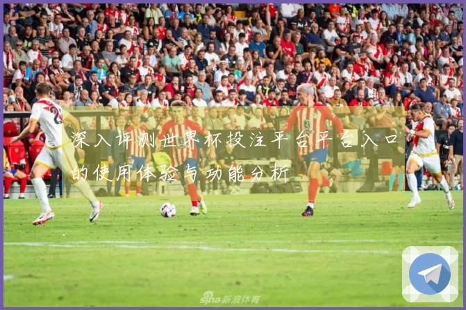 深入评测世界杯投注平台平台入口的使用体验与功能分析