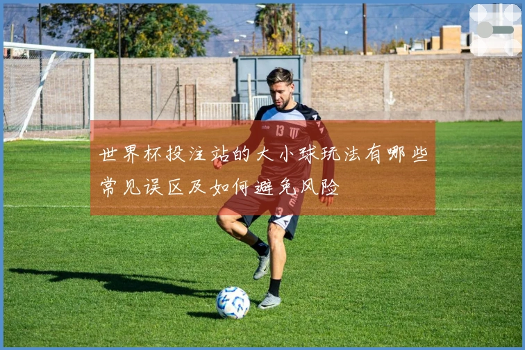 世界杯投注站的大小球玩法有哪些常见误区及如何避免风险