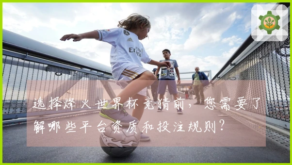 选择烽火世界杯竞猜前，您需要了解哪些平台资质和投注规则？