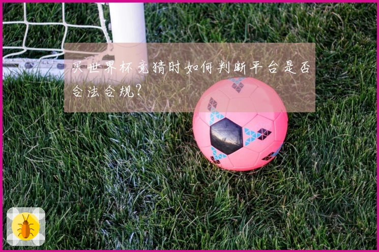 买世界杯竞猜时如何判断平台是否合法合规？