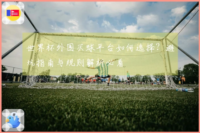 世界杯外围买球平台如何选择？避坑指南与规则解析必看