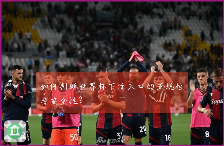 如何判断世界杯下注入口的正规性与安全性？