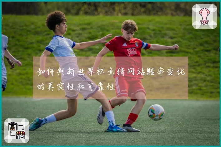 如何判断世界杯竞猜网站赔率变化的真实性和可靠性