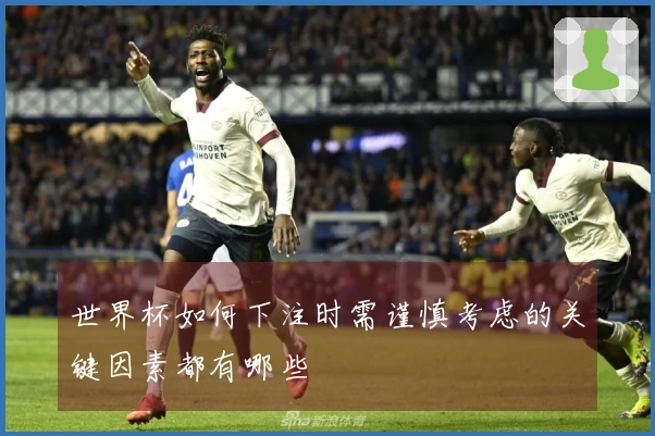 世界杯如何下注时需谨慎考虑的关键因素都有哪些