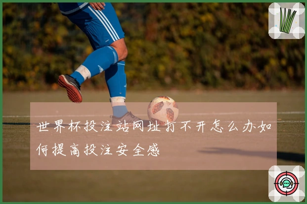 世界杯投注站网址打不开怎么办如何提高投注安全感