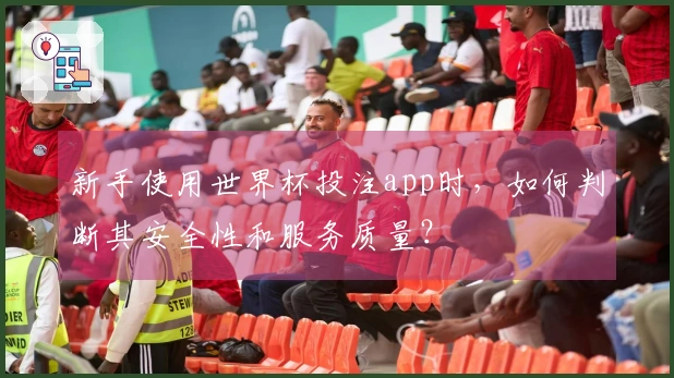 新手使用世界杯投注app时，如何判断其安全性和服务质量？