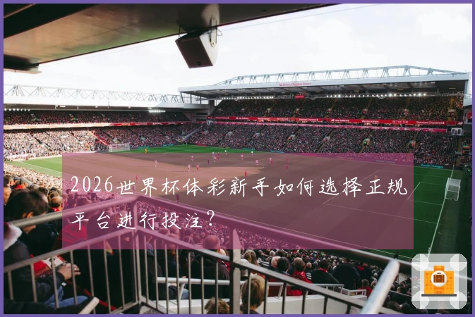 2026世界杯体彩新手如何选择正规平台进行投注？