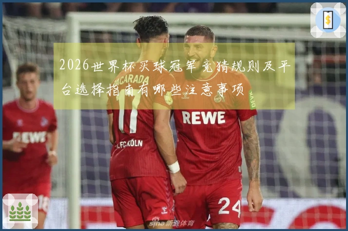 2026世界杯买球冠军竞猜规则及平台选择指南有哪些注意事项