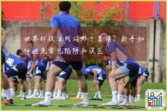 世界杯投注网站哪个靠谱？新手如何避免常见陷阱和误区