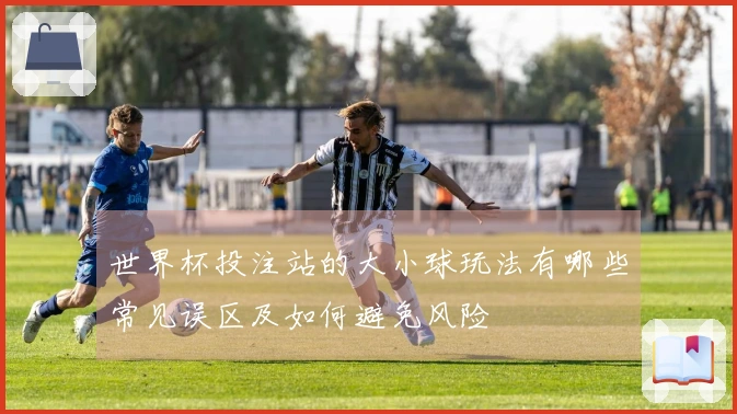 世界杯投注站的大小球玩法有哪些常见误区及如何避免风险