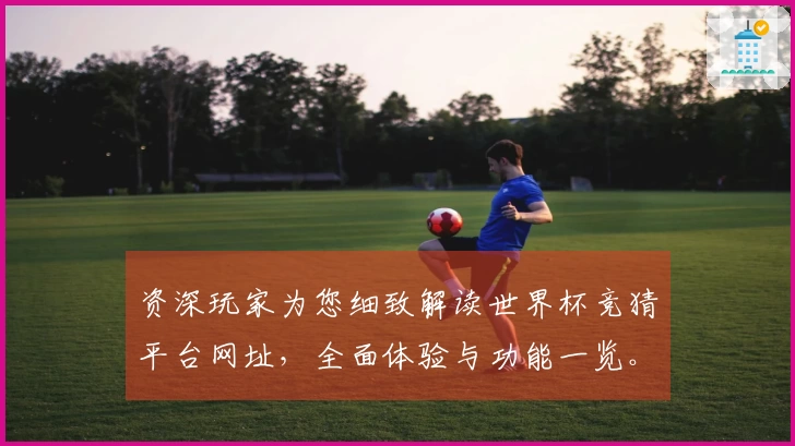 资深玩家为您细致解读世界杯竞猜平台网址，全面体验与功能一览。