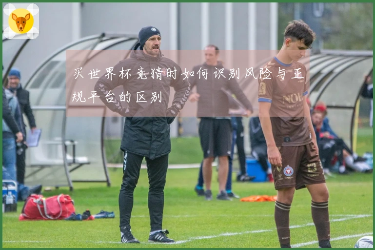 买世界杯竞猜时如何识别风险与正规平台的区别