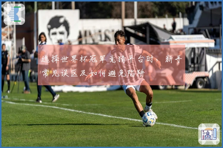 选择世界杯冠军竞猜平台时，新手常见误区及如何避免陷阱