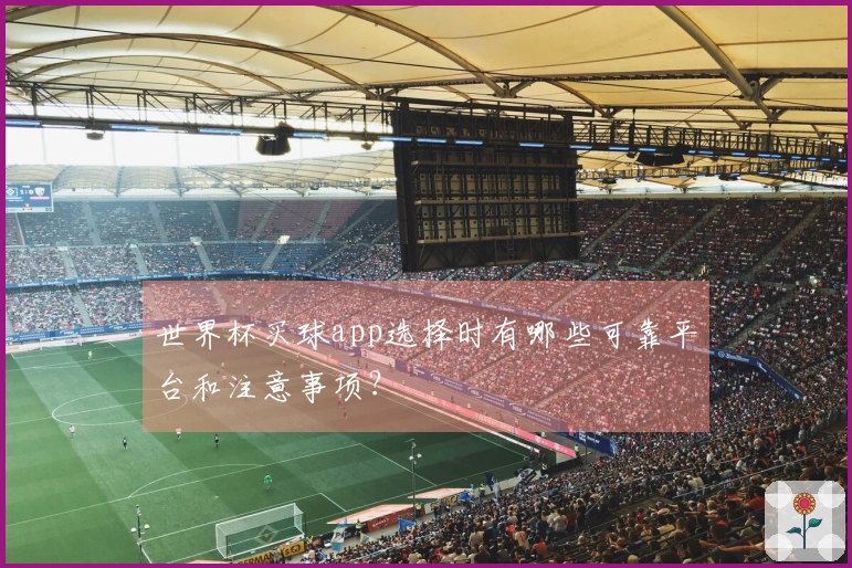 世界杯买球app选择时有哪些可靠平台和注意事项？