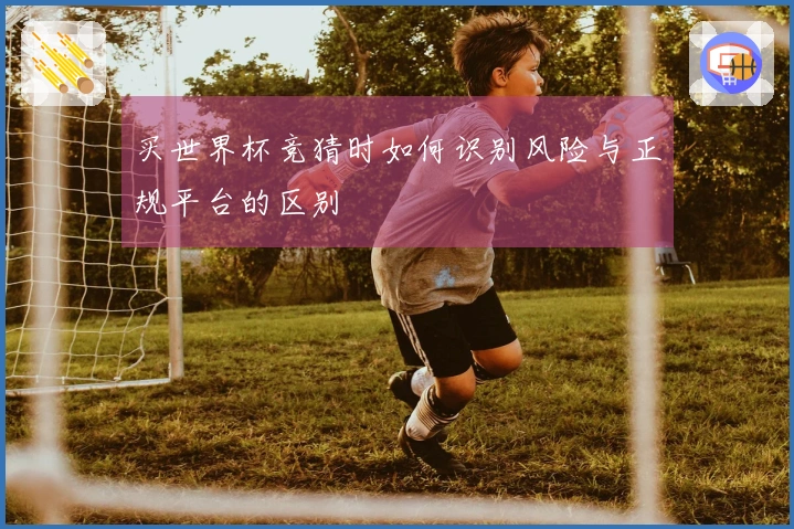 买世界杯竞猜时如何识别风险与正规平台的区别